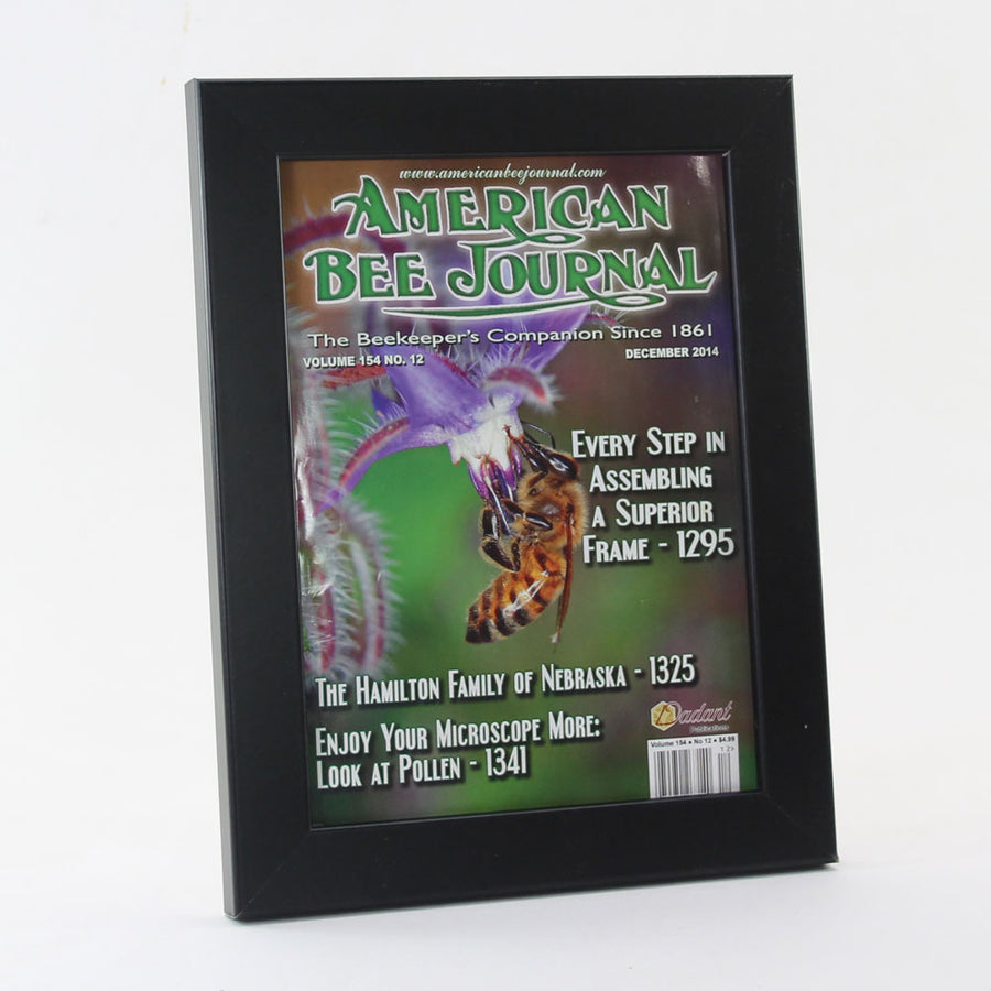 American Bee Journal Frame for 8